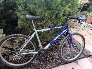 Bicicleta de Montaña TOP TROTTER