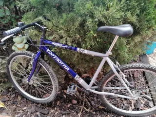 Bicicleta de Montaña TOP TROTTER