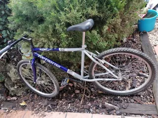 Bicicleta de Montaña TOP TROTTER