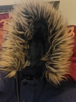 Cappotto blu navy Springfield