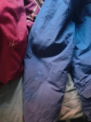 Cappotto blu navy Springfield