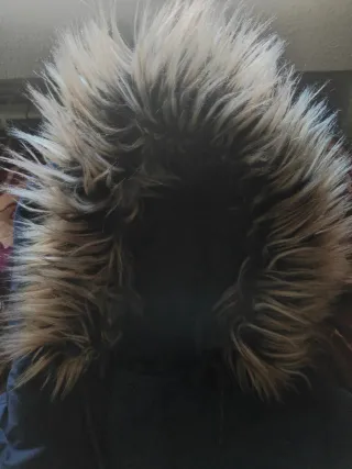 Cappotto blu navy Springfield