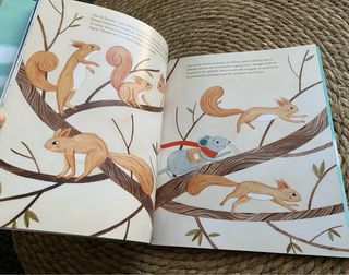 Batiscaf contes il•lustrats NOU!