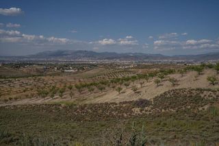 Terreno en venta en Alhendín