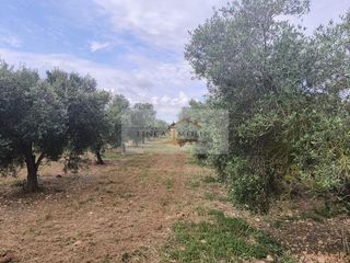 Solar en venta en Pobla (Sa)