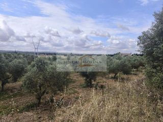 Solar en venta en Pobla (Sa)