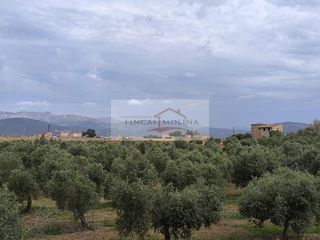 Solar en venta en Pobla (Sa)