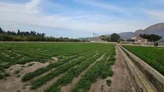 Terreno en venta en Santomera