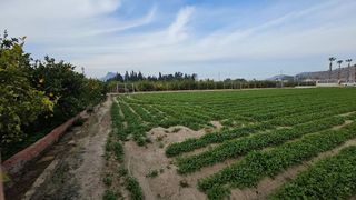 Terreno en venta en Santomera