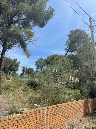 Terreno en venta en Figuerola del Camp