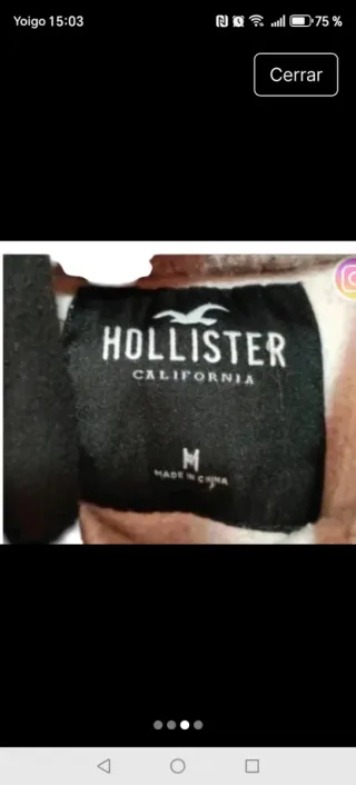 Sudadera Hollister Gris Logo