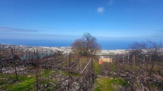 Terreno en venta en Santa Úrsula