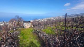 Terreno en venta en Santa Úrsula