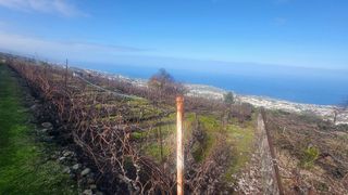 Terreno en venta en Santa Úrsula