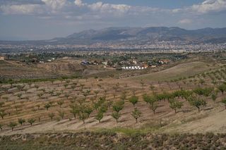 Terreno en venta en Alhendín