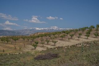 Terreno en venta en Alhendín