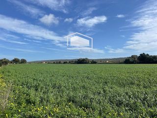 Terreno en venta en Campos