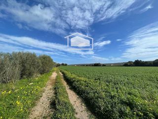 Terreno en venta en Campos