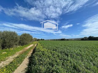 Terreno en venta en Campos