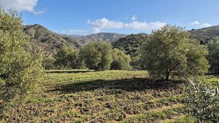 Terreno en venta en Pizarra