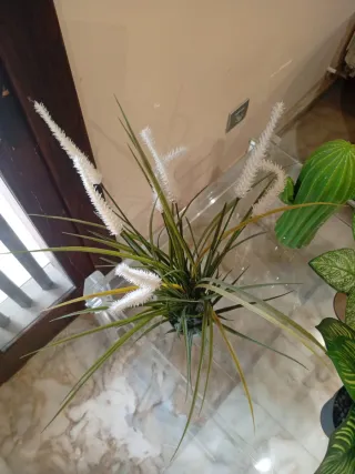 Planta artificial decorativa