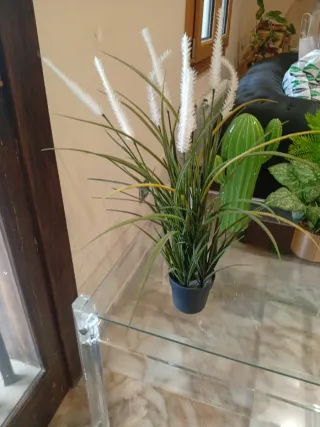 Planta artificial decorativa