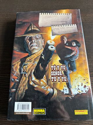 SOLO UN PEREGRINO (CÓMIC USA) (Spanish Edition)