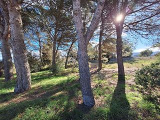 Solar en venta en Olesa de Montserrat