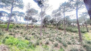 Terreno en venta en Sant Pol de Mar
