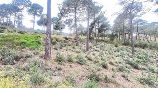 Terreno en venta en Sant Pol de Mar