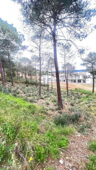 Terreno en venta en Sant Pol de Mar