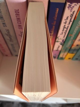 Lo que la nieve susurra al caer- María Martínez