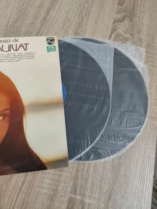 Vinilo La Gran Orquesta de Paul Mauriat
