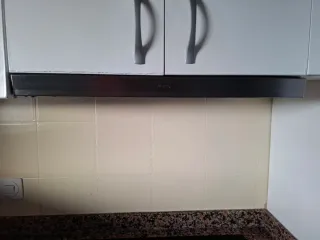 Campana extractora inox