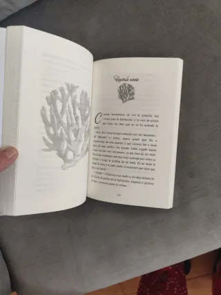 Cambiaste mi mundo (Spanish Edition)