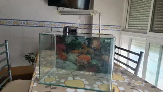 Acuario Blau 40x24x28cm