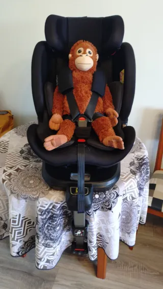 Silla coche i-size Grupo 0-1-2-3 Austen
