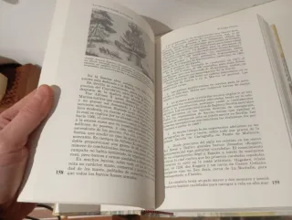 Los montes de España en la historia