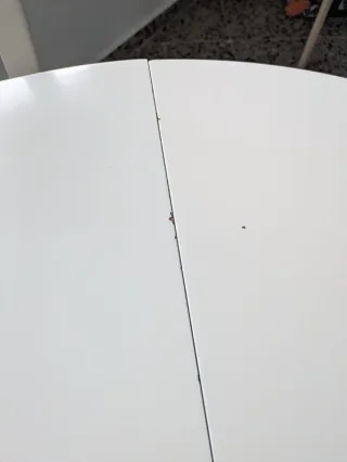 Mesa de comedor redonda extensible con 6 sillas