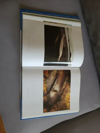 Arte de la Fotographia en