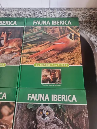 4 el hombre y la tierra