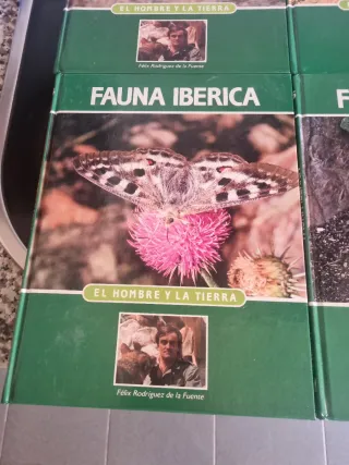 4 el hombre y la tierra