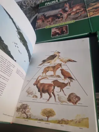 4 el hombre y la tierra