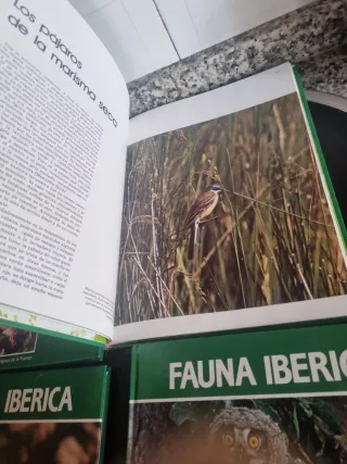 4 el hombre y la tierra