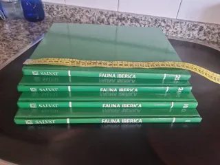 4 el hombre y la tierra