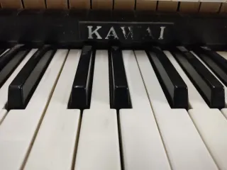 Órgano Kawai Electro Chord Bass II