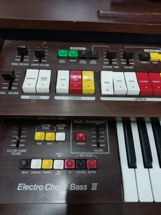 Órgano Kawai Electro Chord Bass II