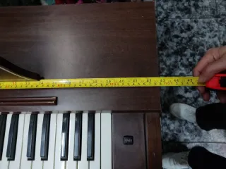 Órgano Kawai Electro Chord Bass II