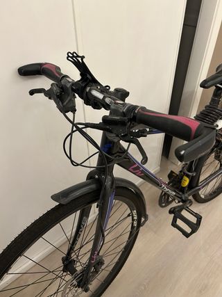 Bicicleta Giant Thrive