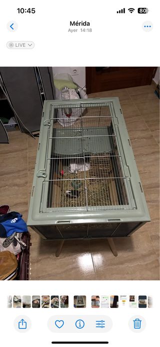 Jaula Zolux Neolife Verde